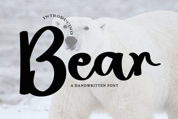 Bear: A Handwritten Font That Elevates Editorial Design
