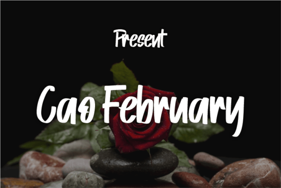 Cao February Script Review