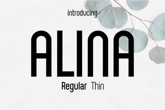 How Alina Font Transformed My Brand’s Visual Identity