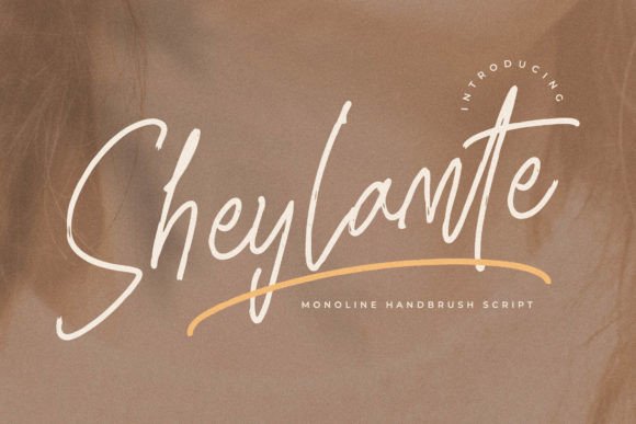 Sheylamte: The Script Font That Elevates Campaign Impact